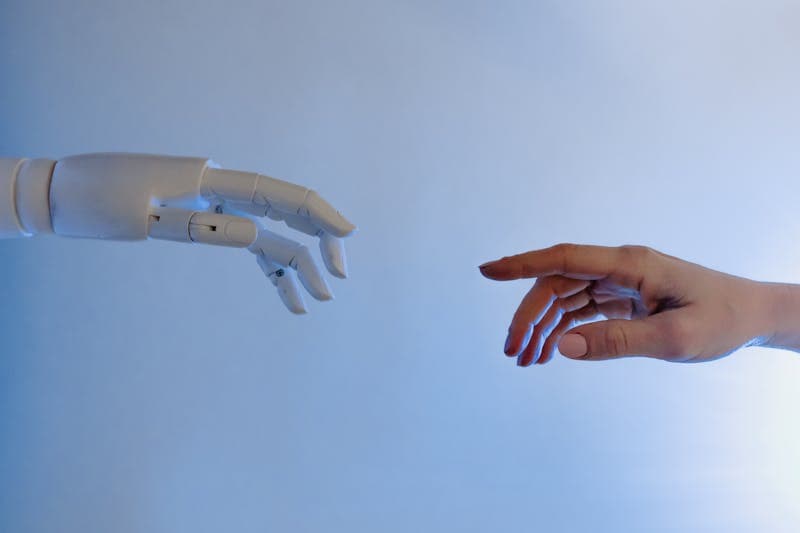 Multiple AI chat interfaces on split screen