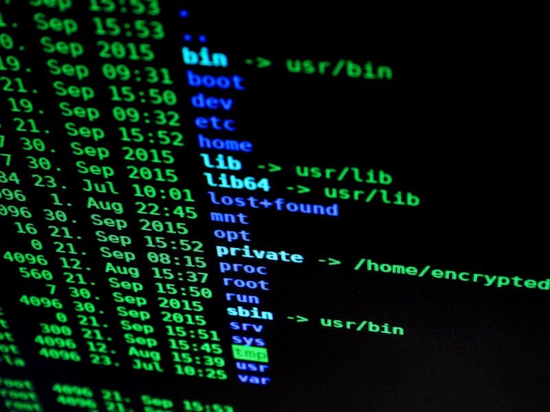 Convert cURL Commands to Code in Any Language