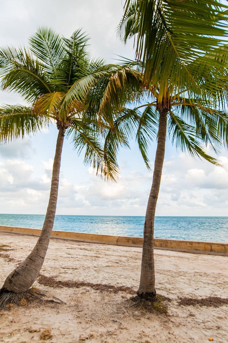 Holiday Countdown Timer: Plan Better Vacations