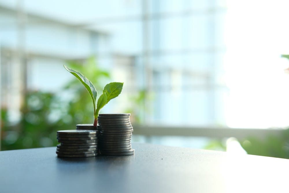 Compound Interest Calculator: How Savings Grow