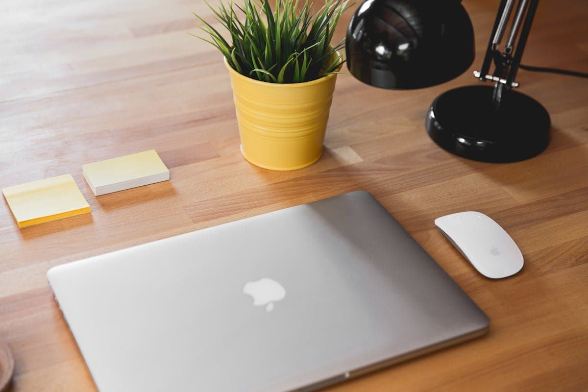 Markdown Editors with Live Preview: A Quick Guide