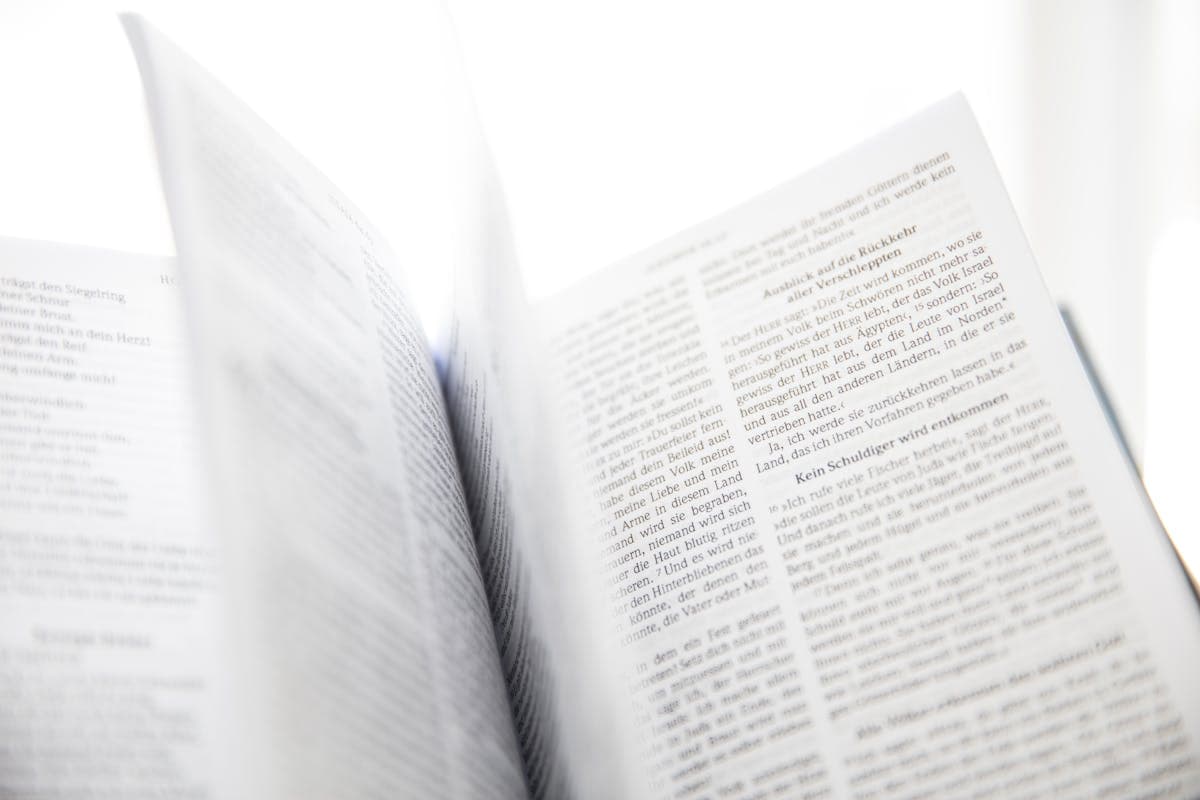 OCR Online: Extract Text from Images and Scans