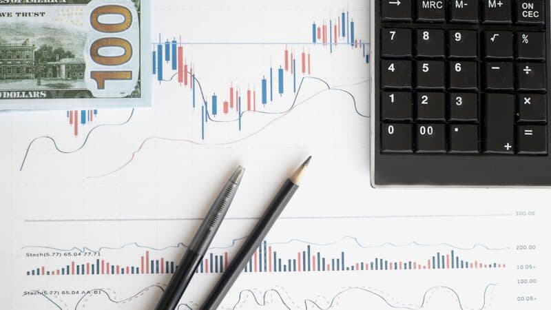 Budget planning spreadsheet and financial charts