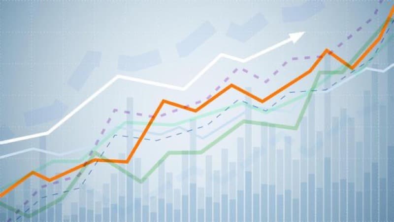 Profit Margin Calculator: Calculate and Improve Margins